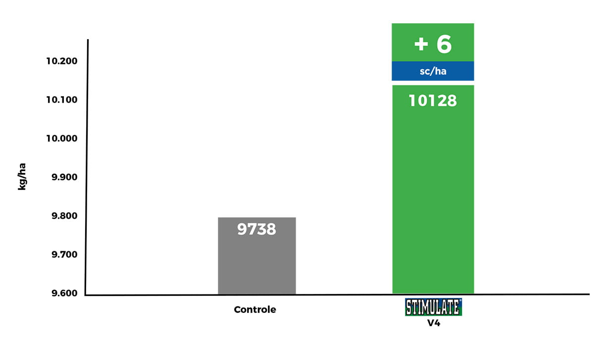 grafico